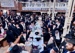 הגלריה השבועית - שבוע פרשת ואתחנן ב-770